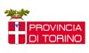 provincia torino